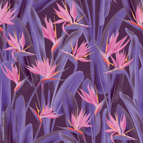 Strelitzia reginae tropical flower vector seamless pattern. Jungle plant paradise tropical summer fabric design. South African plant tropical blossom of crane flower, strelitzia. Floral textile print.