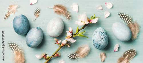 Painted traditional eggs for Easter holiday, feathers and blooming almond flowers on branch over light blue background, top view, wide composition photo