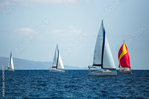 Sailing luxury boats participate in yachting regatta.