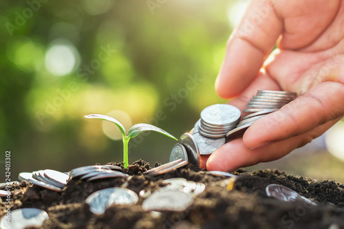 hand holding money puting on soil and young growing with sunshine