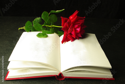 Opened book and red rose on dark photo