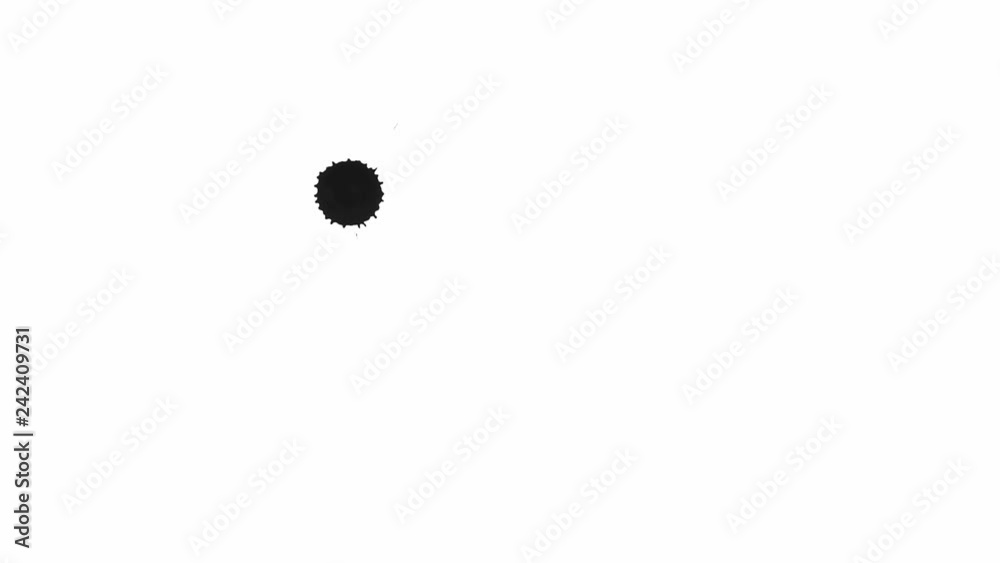Black drops of paint on the alpha channel. File contains alpha channel. Black drops of paint on the alpha channel. File contains alpha channel.