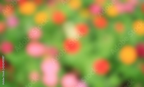 Abstract blurred colorful flower with green leaves background. © zilvergolf