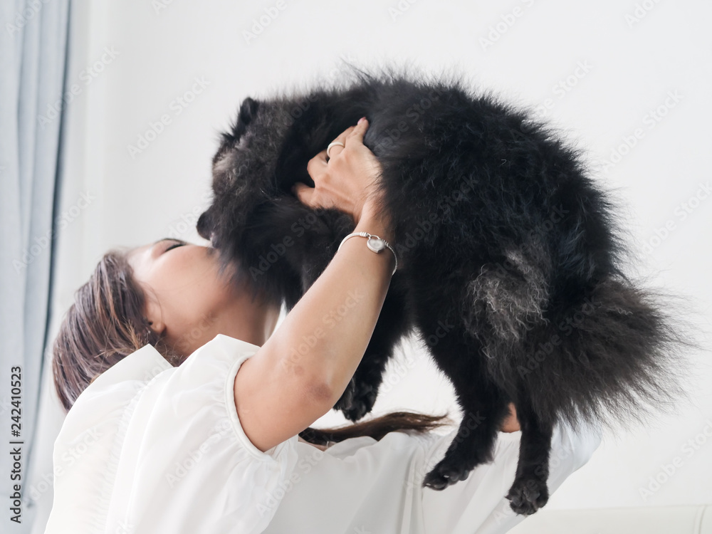 Happy Asian woman playing with her black dog on sofa at home, lifestyle concept Happy Asian woman playing with her black dog on sofa at home, lifestyle concept