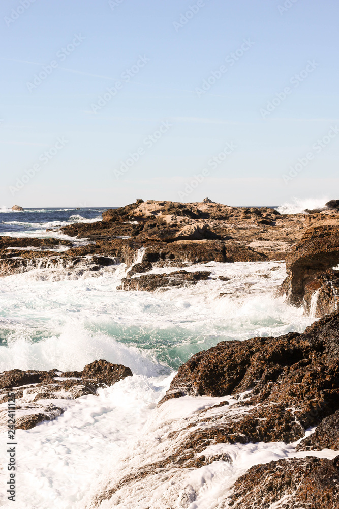 point lobos