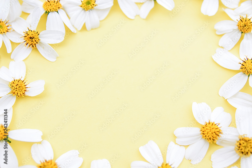 Spring beautiful white flowers poster background material / white flower