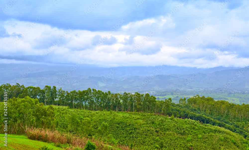 Panorama view of grassland and mountians with cloudy sky