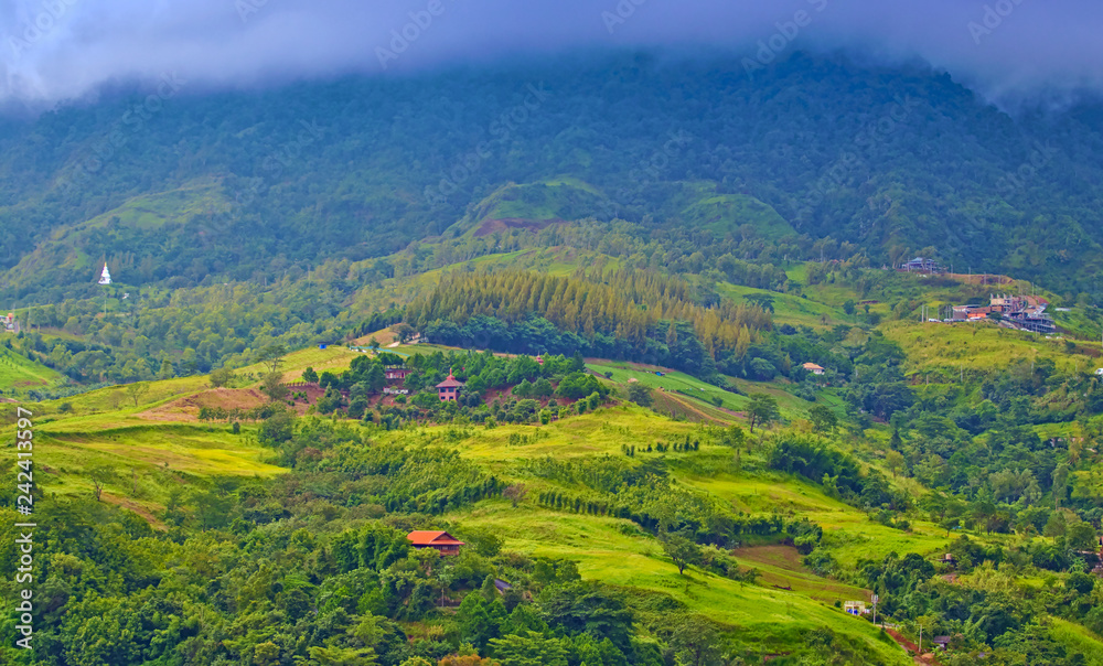 rural landscape of a valley with green field and trees on hills