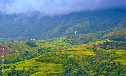 rural landscape of a valley with green field and trees on hills