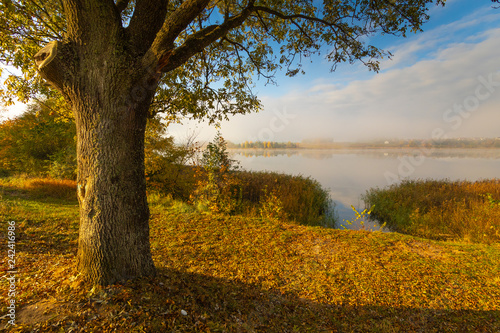 Beautiful autumn landscape. Colorful autumn trees. Sunrise in autumn.