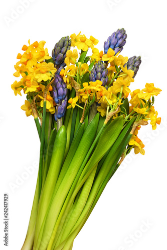 Fototapeta Naklejka Na Ścianę i Meble -  Hyacinth and narcissus flowers in a spring  bouquet