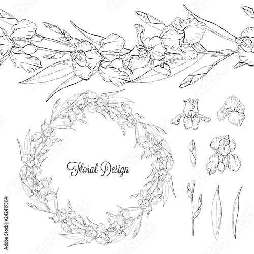 Fototapeta Naklejka Na Ścianę i Meble -  Set of iris, black and white floral elements isolated on white background, wreath and seamless brush of flowers, vector