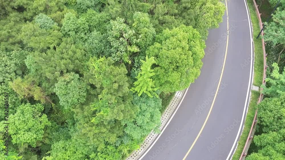 Aerial view of the highway in the forest Aerial view of the highway in the forest