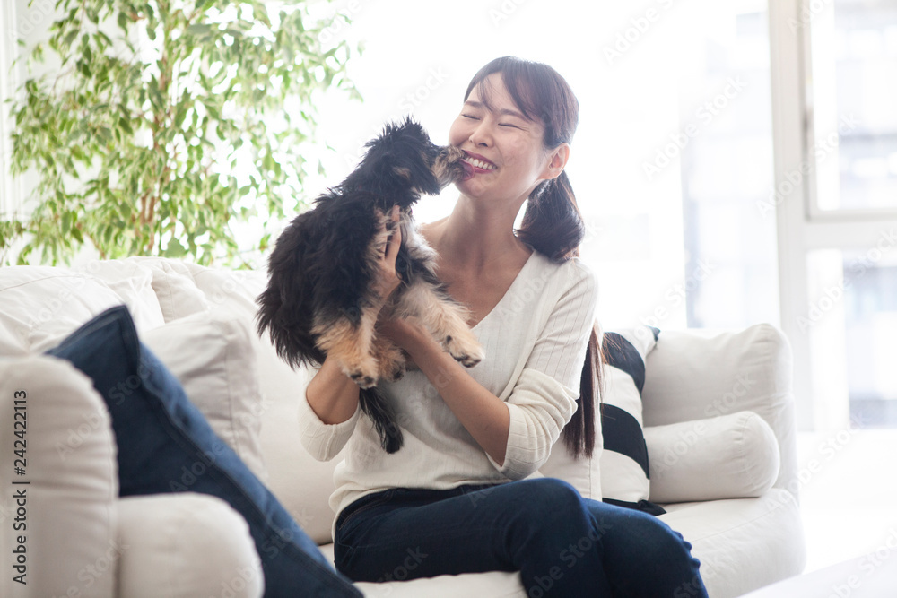 ソファーに腰掛けてペットの犬と遊ぶ楽しそうな女性 ソファーに腰掛けてペットの犬と遊ぶ楽しそうな女性