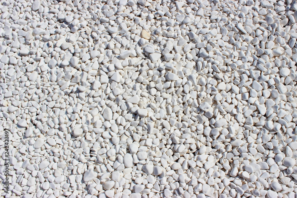 Texture of white stone gravel texture Texture of white stone gravel texture