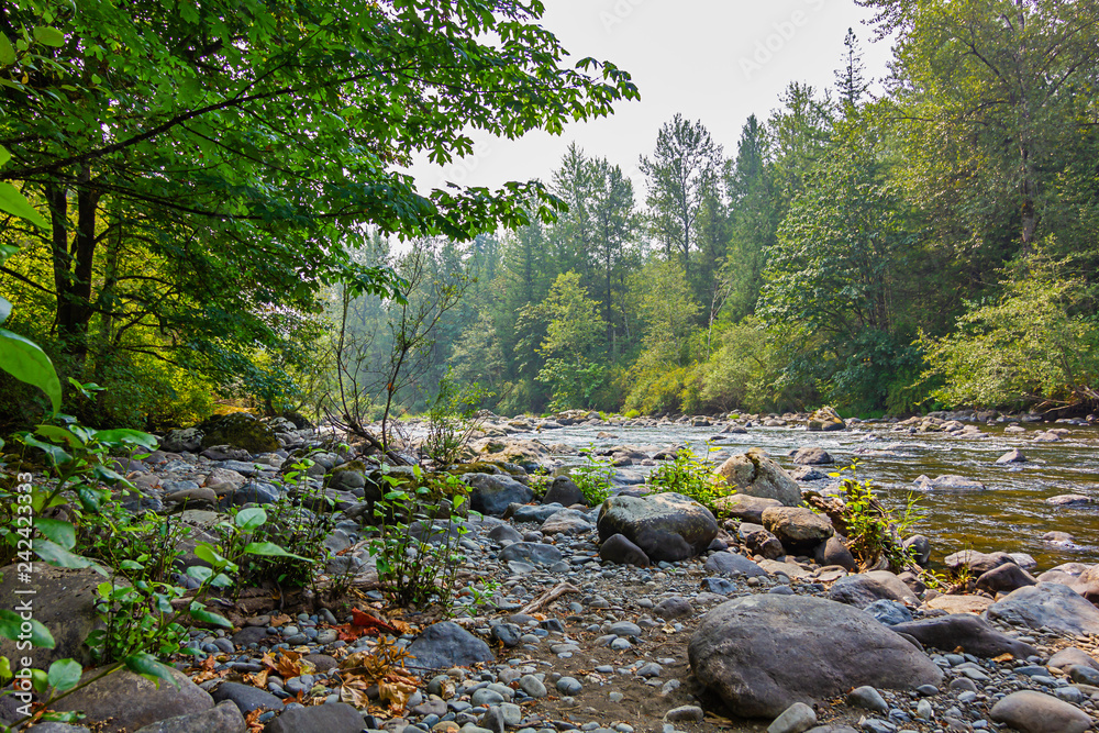 wide area along the green river in summer wide area along the green river in summer