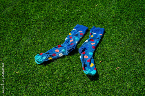The blue pair of socks with colorful dots on the green grass.