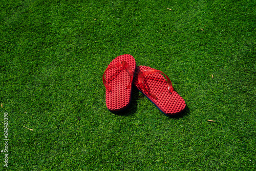 The one pair of plastic red flip-flops on the green grass.