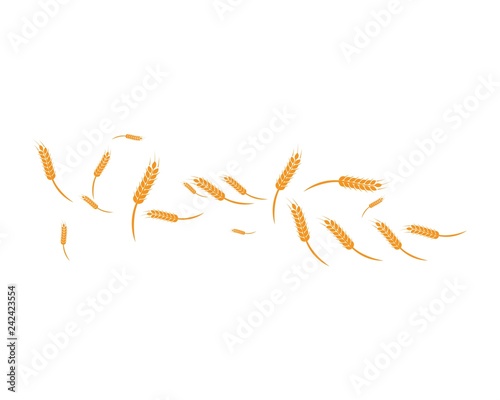 wheat Background Template