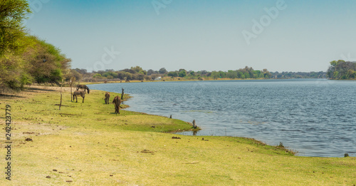 idyllische Landschaft am Boteti River, Botsuana
