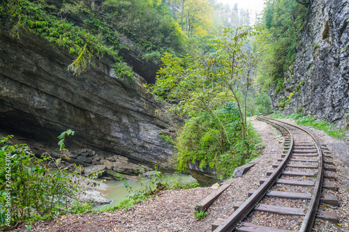 railway, old, mountains, forest, nature, trees