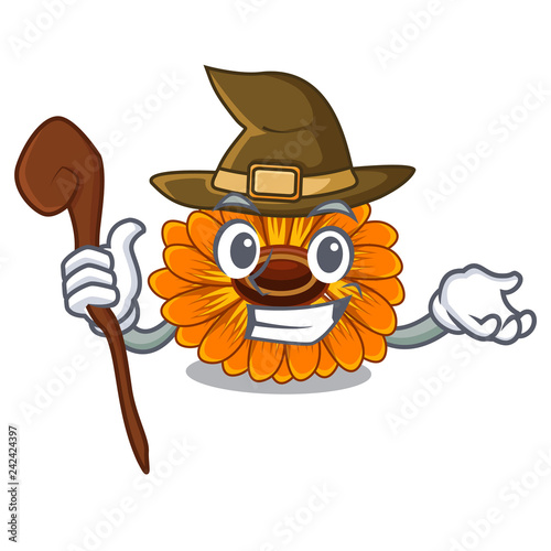 Witch calendula flower in the mascot stem