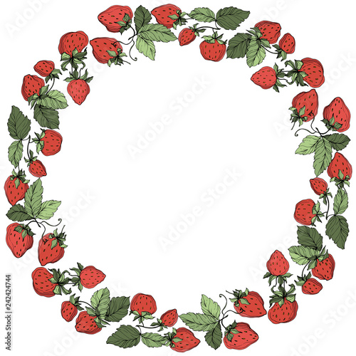 Vector Strawberry fruits. Green leaf. Red and green engraved ink art. Frame border ornament square.
