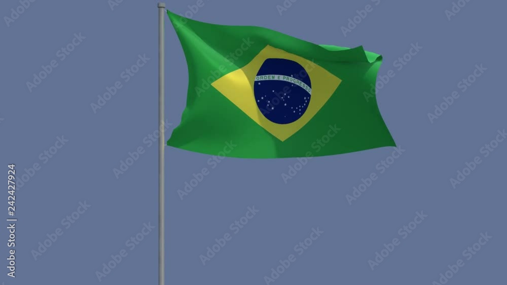 Flag of Brazil waving in the wind. In 4k, loopable and with alpha ...