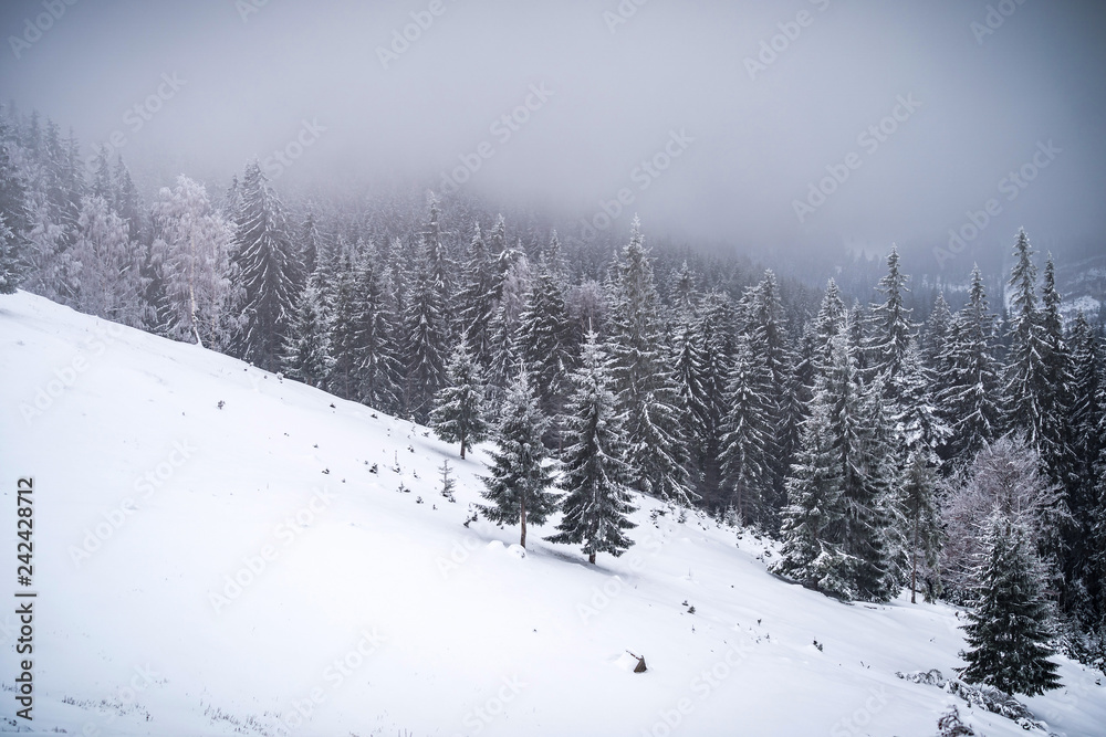 Naklejka premium winter in the mountains