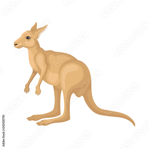 Detailed flat vector icon of kangaroo, side view. Large Australian marsupial animal with long tail and strong hind legs