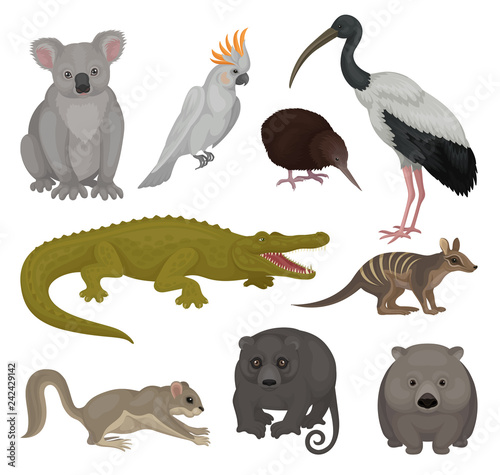 Set of wild Australian animals and birds. Fauna theme. Detailed vector elements for poster of zoo or children book