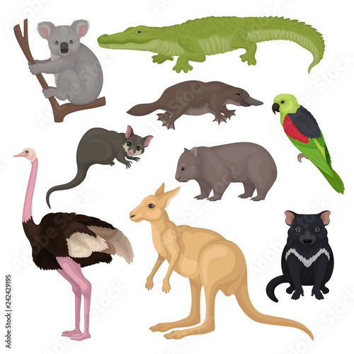 Set of Australian animals and birds. Wild creatures. Fauna theme. Detailed vector elements for zoology book or poster