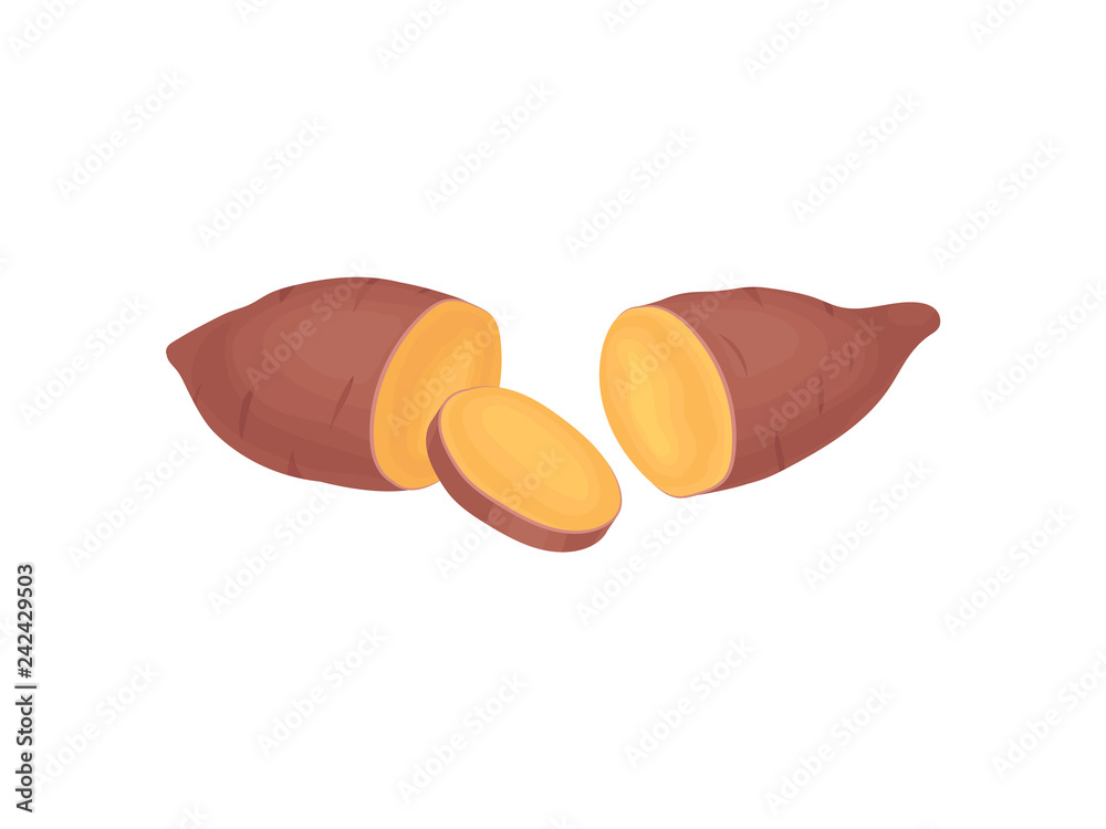 Obraz premium Two halves of cut sweet potato and one round slice. Natural and healthy vegetable. Organic food. Flat vector icon