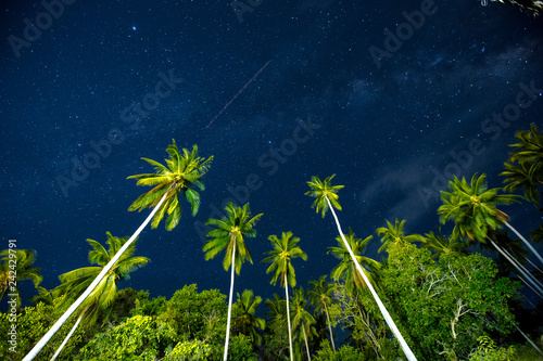 Nights landscape with palm tree Silhouette and Milky Way in the sky