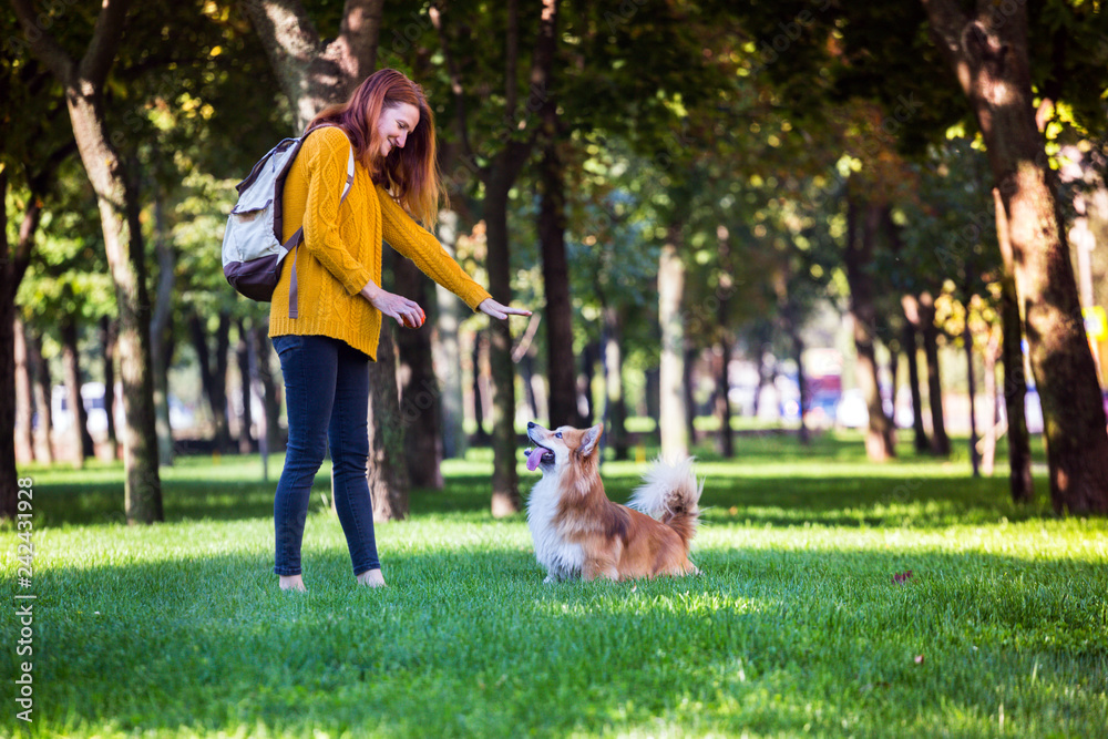girl and dog girl and dog