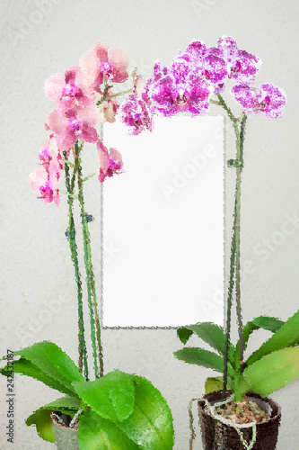  orchidées sur verre dépoli