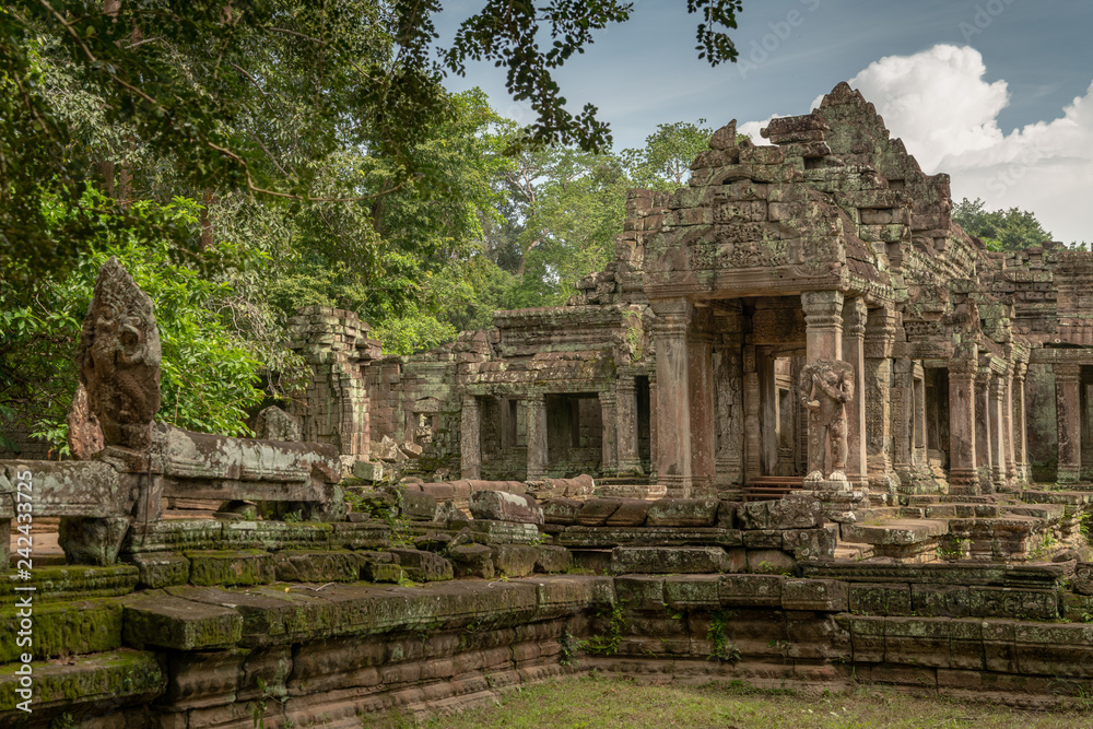 Facade of temple ruins framed by trees