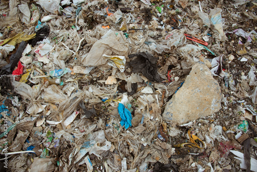 The mountains of garbage that humans eat and leave are pile up. The mountains of garbage that humans eat and leave are pile up.