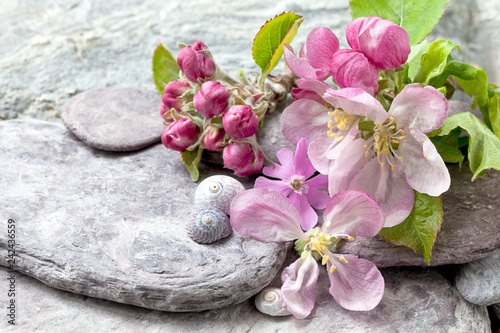 Still life with delicate pastel pink apple blossom