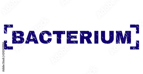BACTERIUM text seal print with distress texture. Text label is placed between corners. Blue vector rubber print of BACTERIUM with dust texture.