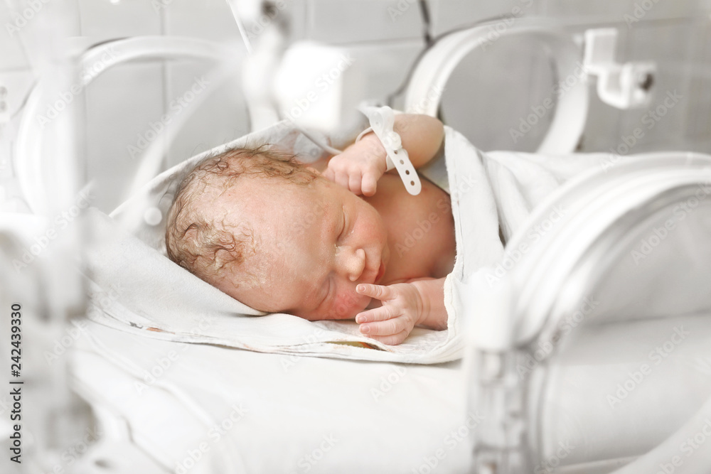 Wcześnak. Nowonarodzone dziecko w inkubatorze na oddziale szpitalnym. - obrazy, fototapety, plakaty 