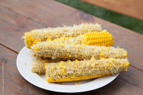 Fotografie Empty boiled corn on white dish. Fully eaten on the cob