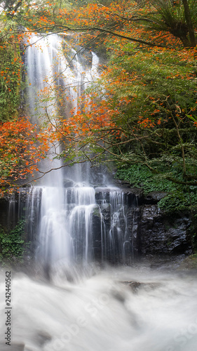 Fototapeta Naklejka Na Ścianę i Meble -  Autumn Yunshen waterfall in New Taipei City Sanxia District, New Taipei City, Taiwan
