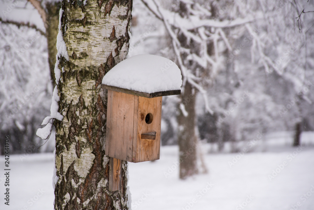 Birdhouse on a tree Birdhouse on a tree