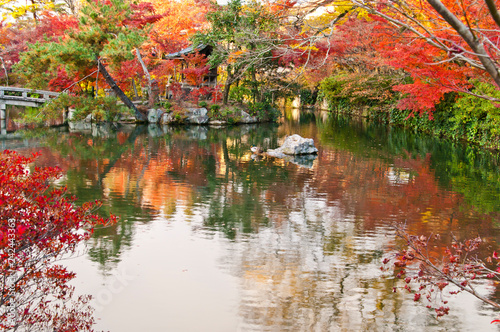 Scenery of Japanese autumn leaves.