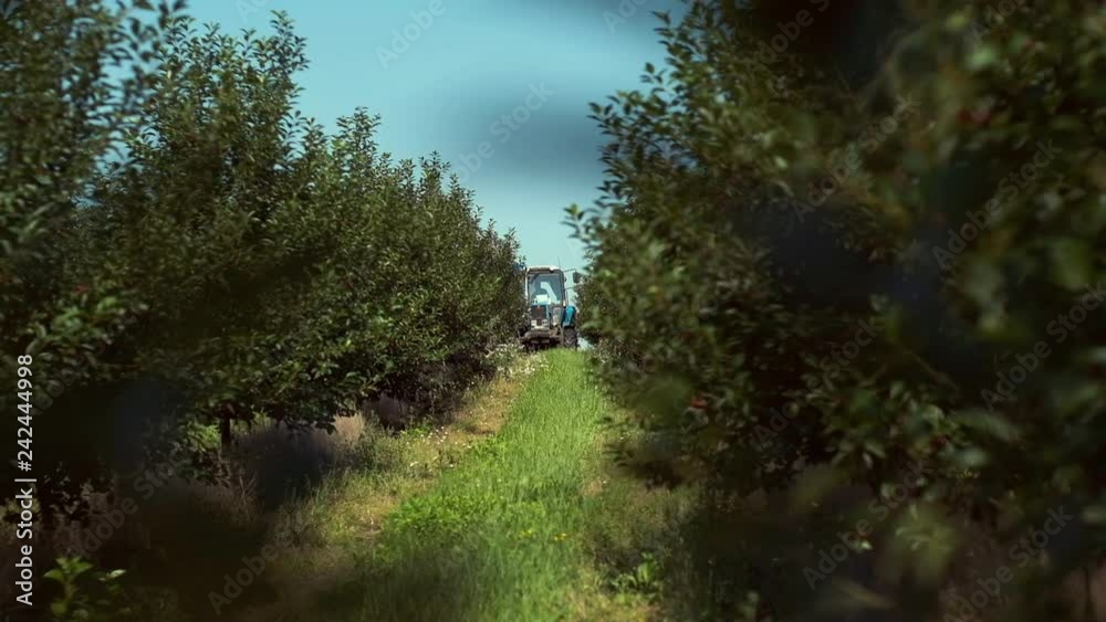 Agricultural Machinery Works In The Garden. Agricultural Machinery Works In The Garden.