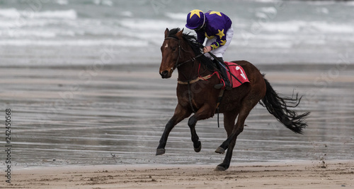 Galloping race horse and jockey on wet sand beach