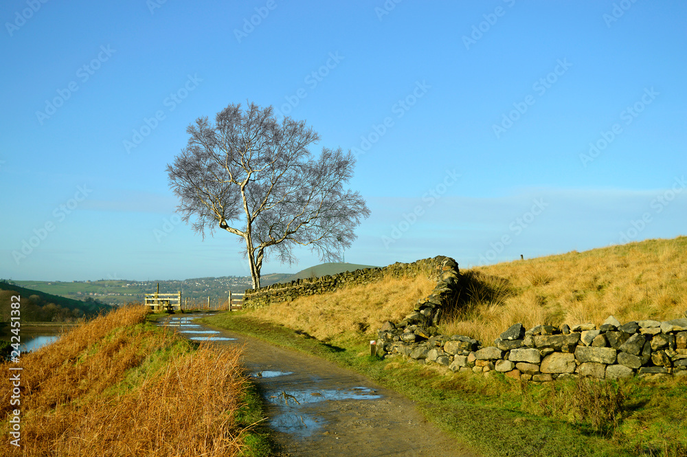 Dovestone Reservoir walking path in the winter sunshine Dovestone Reservoir walking path in the winter sunshine