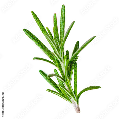 Rosemary organic  herb isolated on the white background, macro. Flat lay