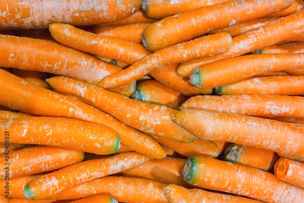 many of fresh raw carrots. background texture many of fresh raw carrots. background texture